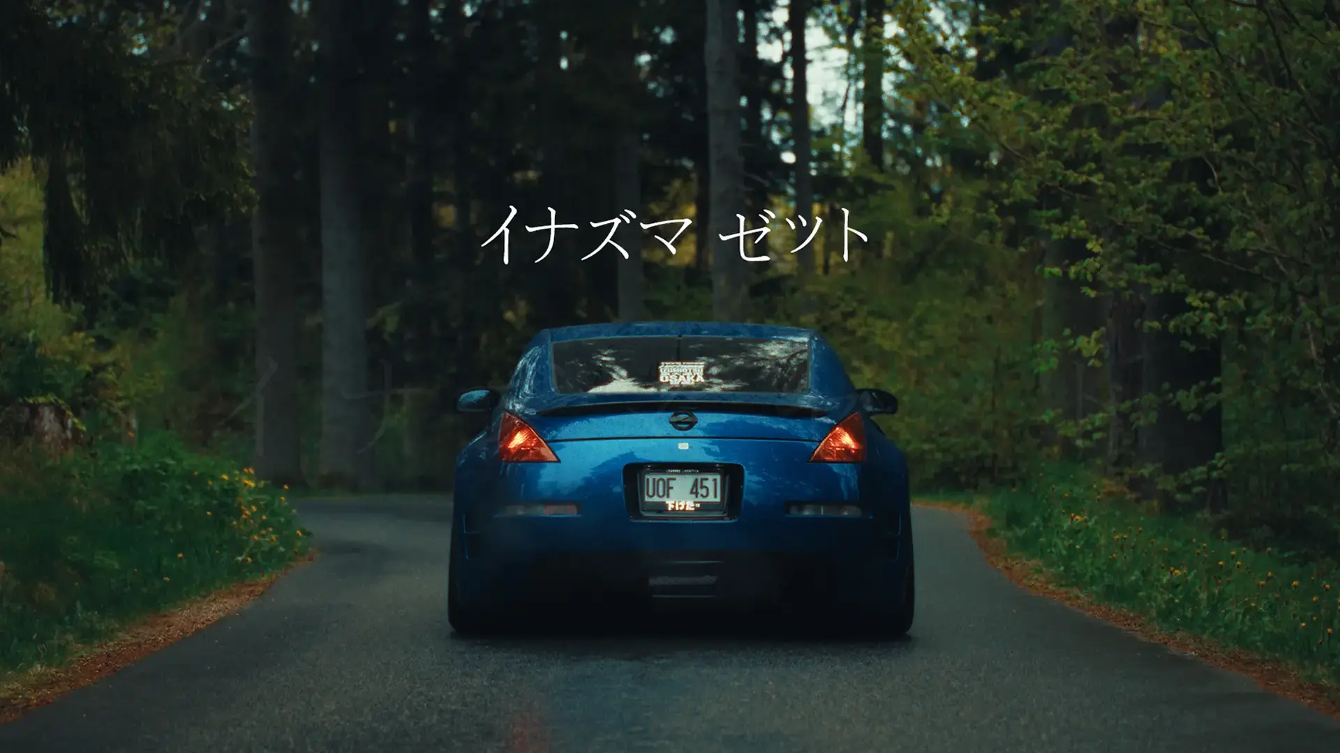 Z33 Blue